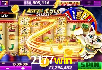 Experiência VIP 2177win